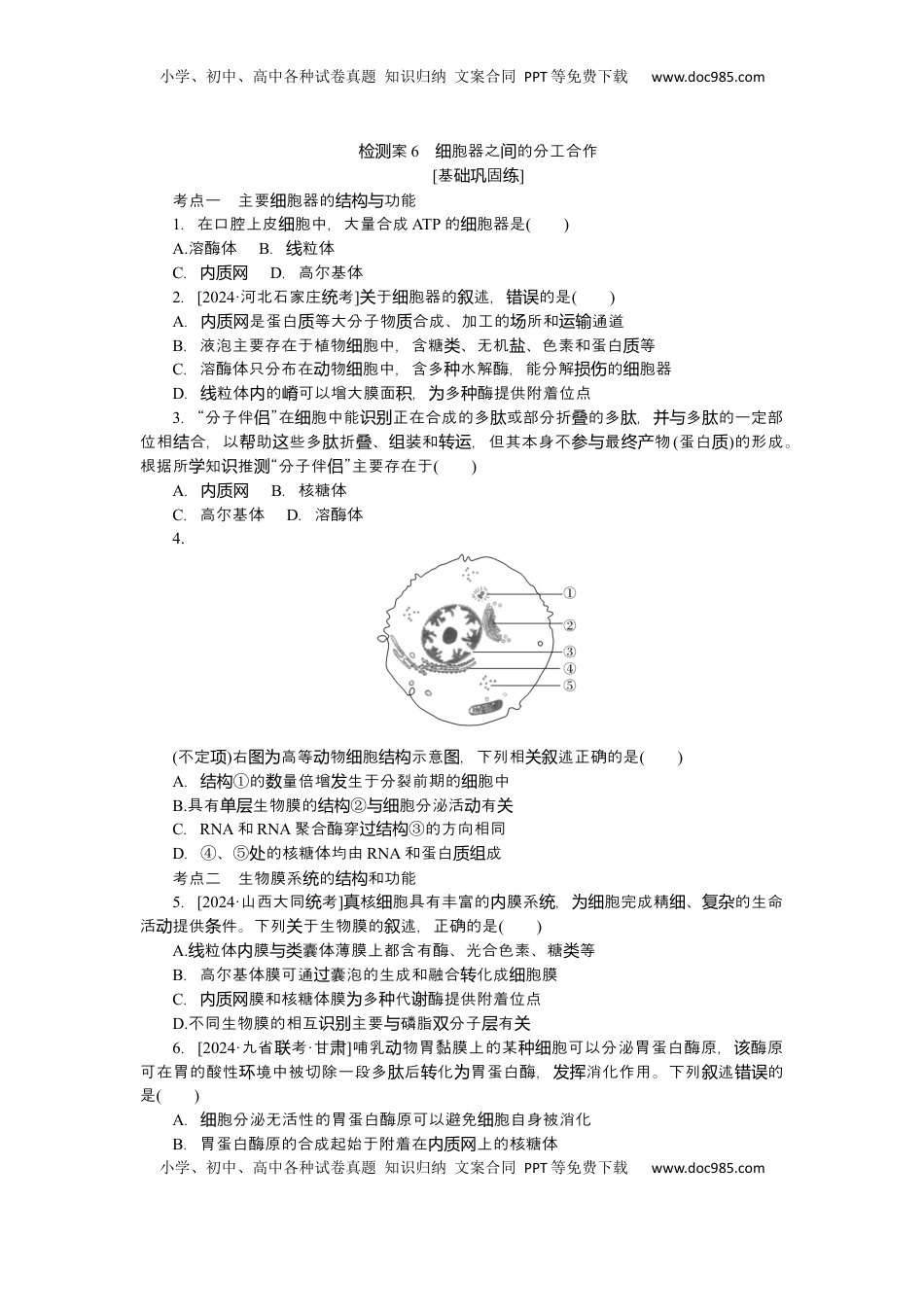 高考生物复习  2025届高中生物学一轮复习检测案6　细胞器之间的分工合作（含解析）.docx