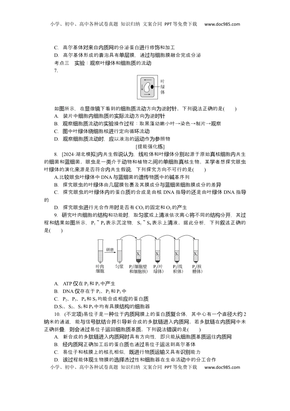 高考生物复习  2025届高中生物学一轮复习检测案6　细胞器之间的分工合作（含解析）.docx