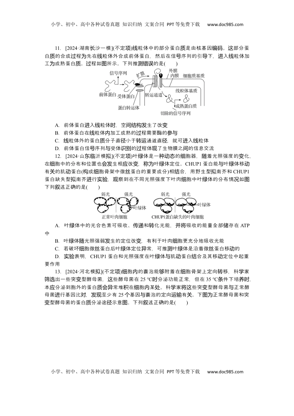 高考生物复习  2025届高中生物学一轮复习检测案6　细胞器之间的分工合作（含解析）.docx