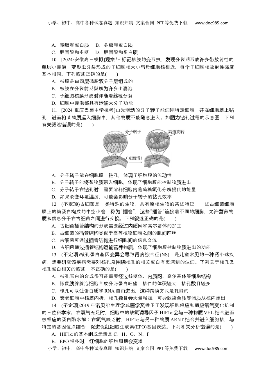 高考生物复习  2025届高中生物学一轮复习检测案5　细胞膜与细胞核（含解析）.docx