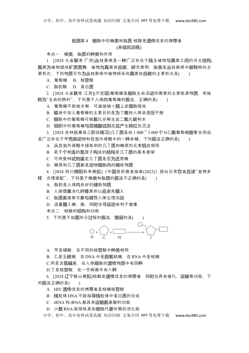 高考生物复习  2025届高中生物学一轮复习检测案4　细胞中的糖类和脂质 核酸是遗传信息的携带者（含解析）.docx