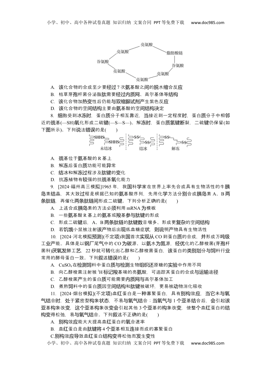 高考生物复习  2025届高中生物学一轮复习检测案3　蛋白质是生命活动的主要承担者（含解析）.docx