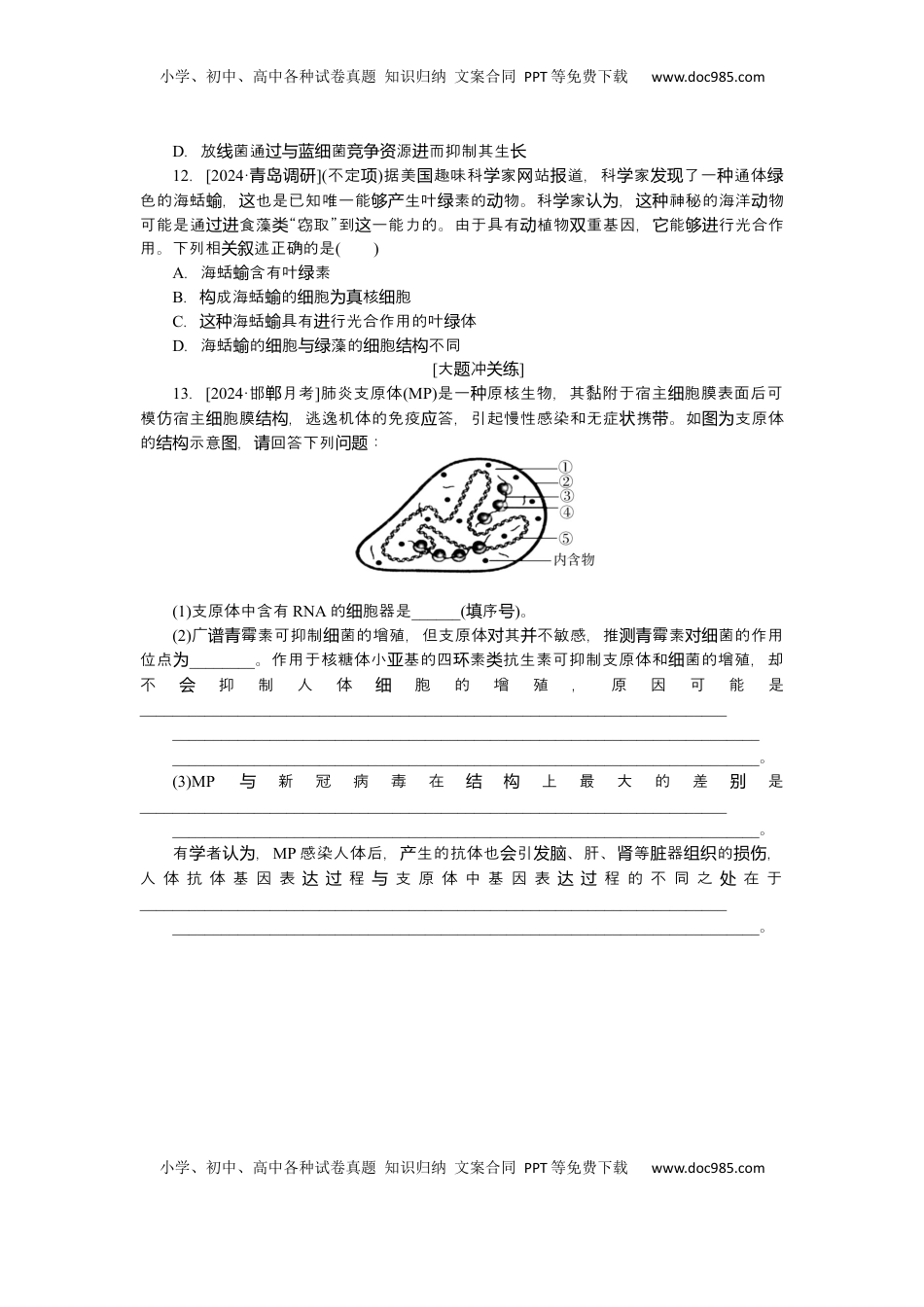 高考生物复习  2025届高中生物学一轮复习检测案1　借助显微镜　走近细胞（含解析）.docx