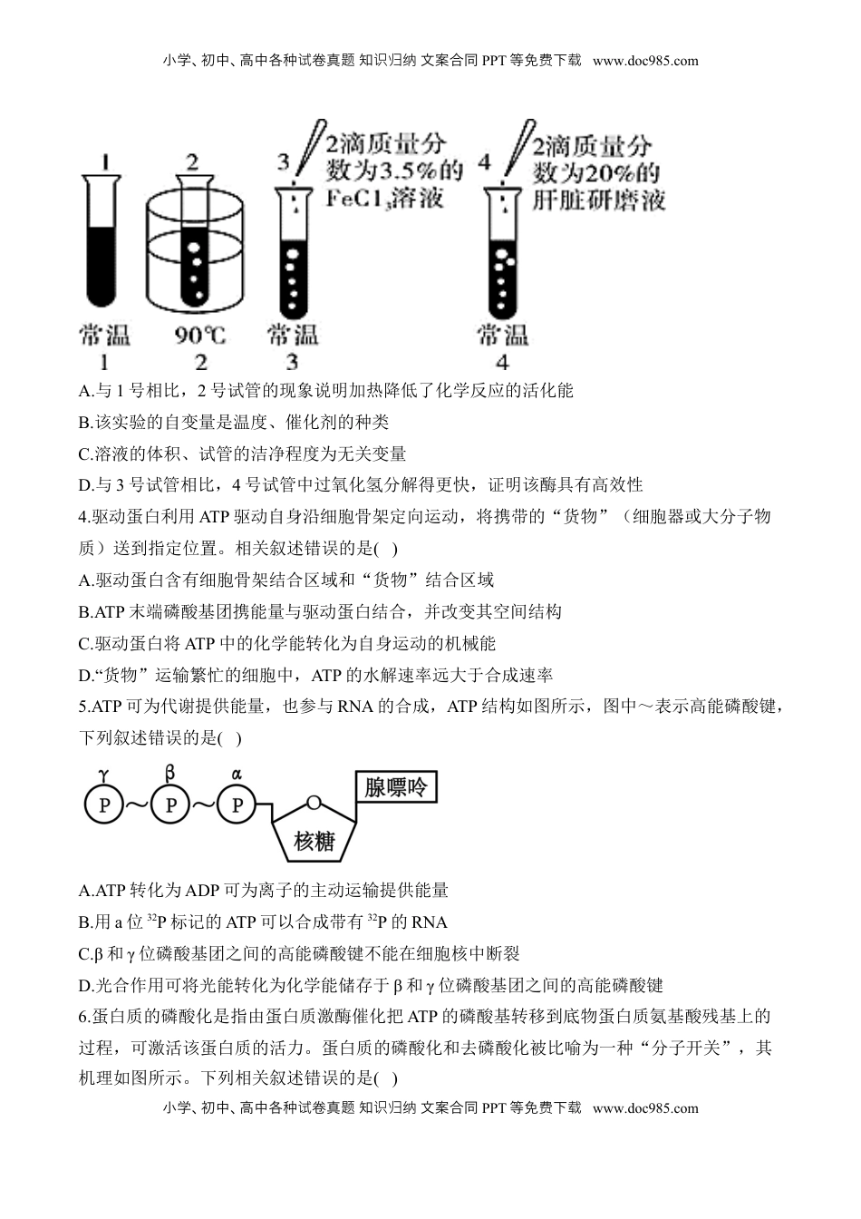 高考生物复习  专题四 细胞的能量供应和利用——2025届高考生物考点剖析（含解析）.docx