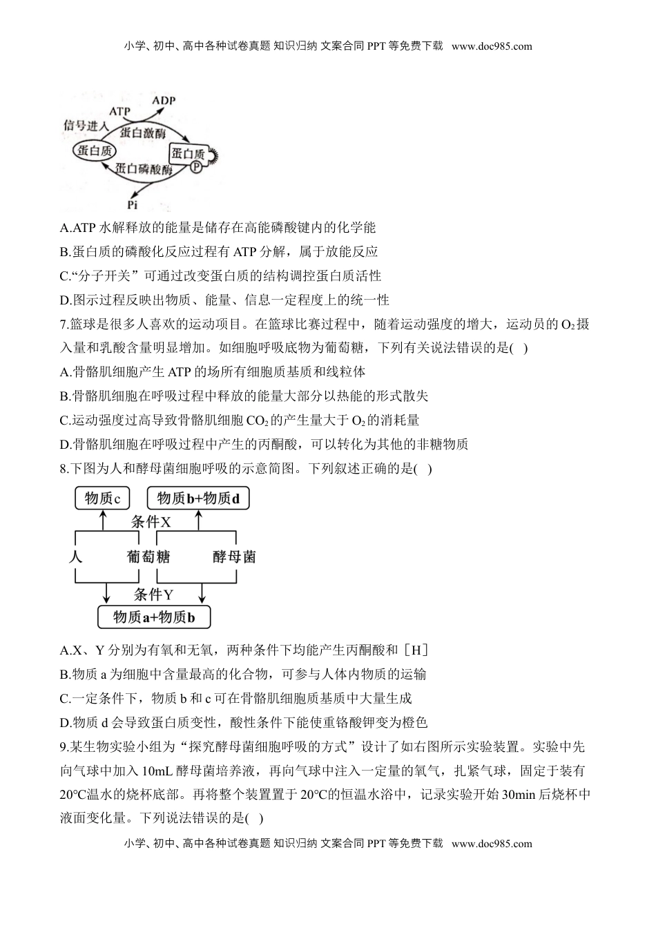 高考生物复习  专题四 细胞的能量供应和利用——2025届高考生物考点剖析（含解析）.docx