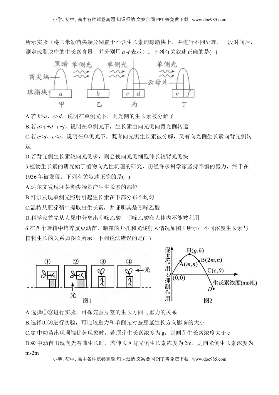 高考生物复习  专题十三 植物的激素调节—2025届高考生物考点剖析 专题卷（含解析）.docx