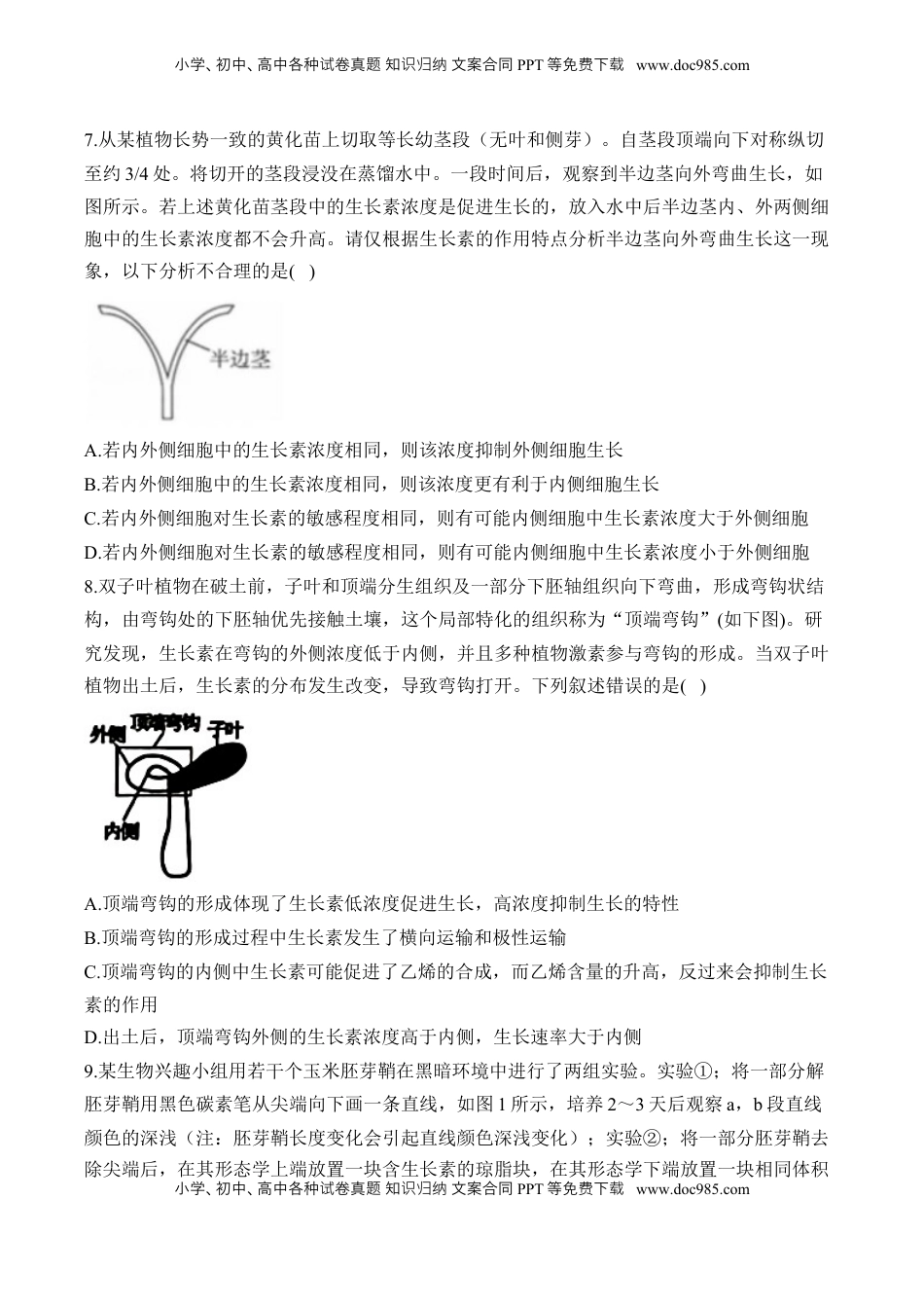 高考生物复习  专题十三 植物的激素调节—2025届高考生物考点剖析 专题卷（含解析）.docx