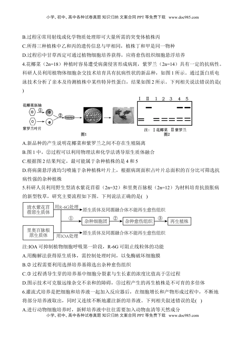 高考生物复习  专题十七 细胞工程与胚胎工程—2025届高考生物考点剖析 专题卷（含解析）.docx
