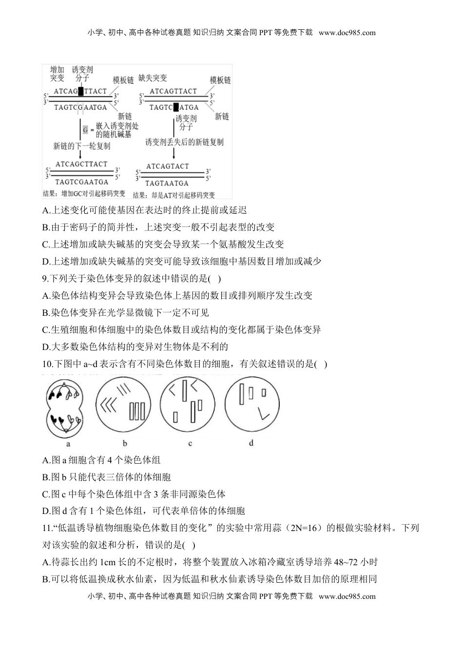 高考生物复习  专题十 生物的变异和进化（有解析）——2025届高考生物考点剖析.docx