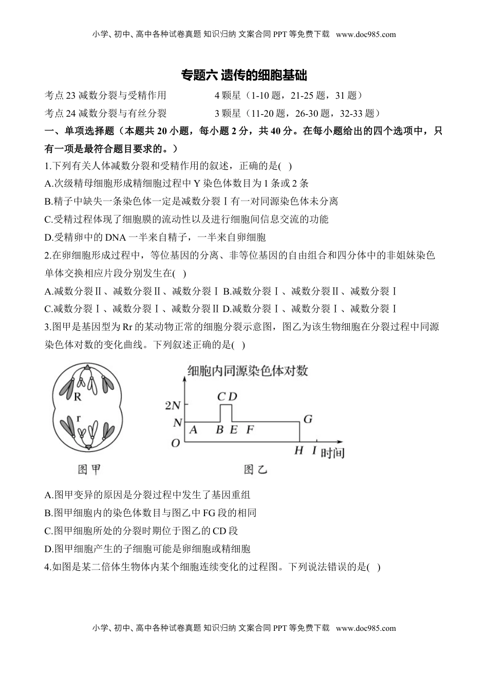 高考生物复习  专题六 遗传的细胞基础（有解析）——2025届高考生物考点剖析.docx