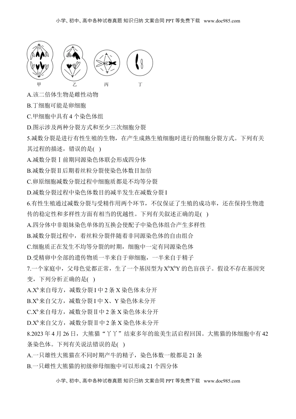 高考生物复习  专题六 遗传的细胞基础（有解析）——2025届高考生物考点剖析.docx