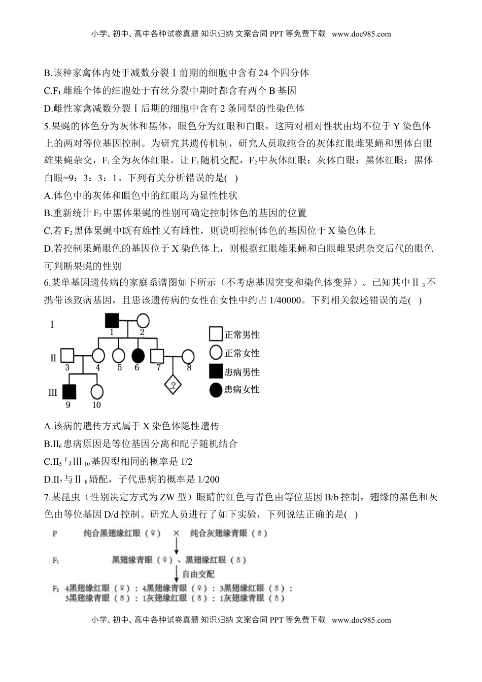 高考生物复习  专题九 伴性遗传和人类遗传病（有解析）——2025届高考生物考点剖析.docx