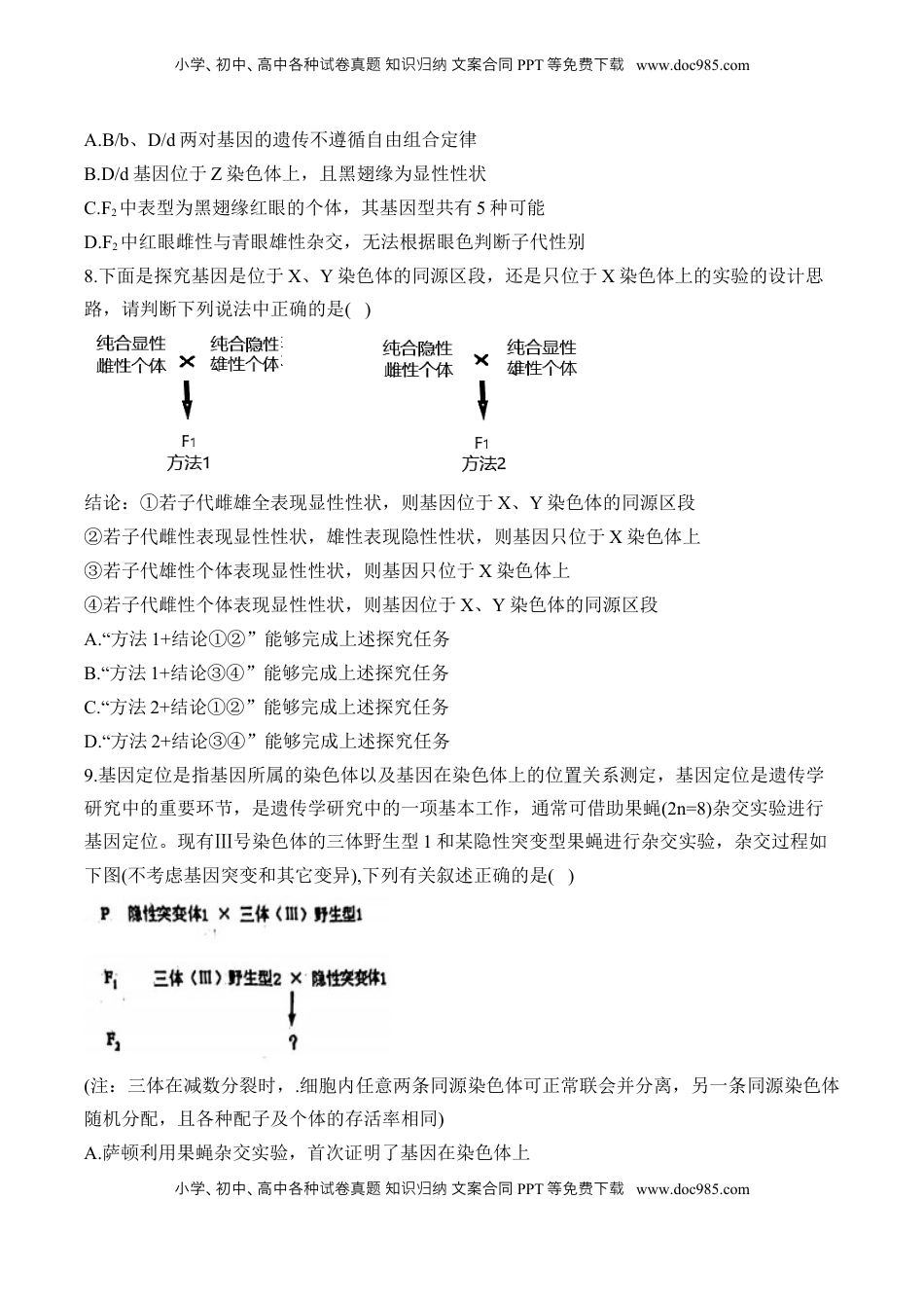 高考生物复习  专题九 伴性遗传和人类遗传病（有解析）——2025届高考生物考点剖析.docx