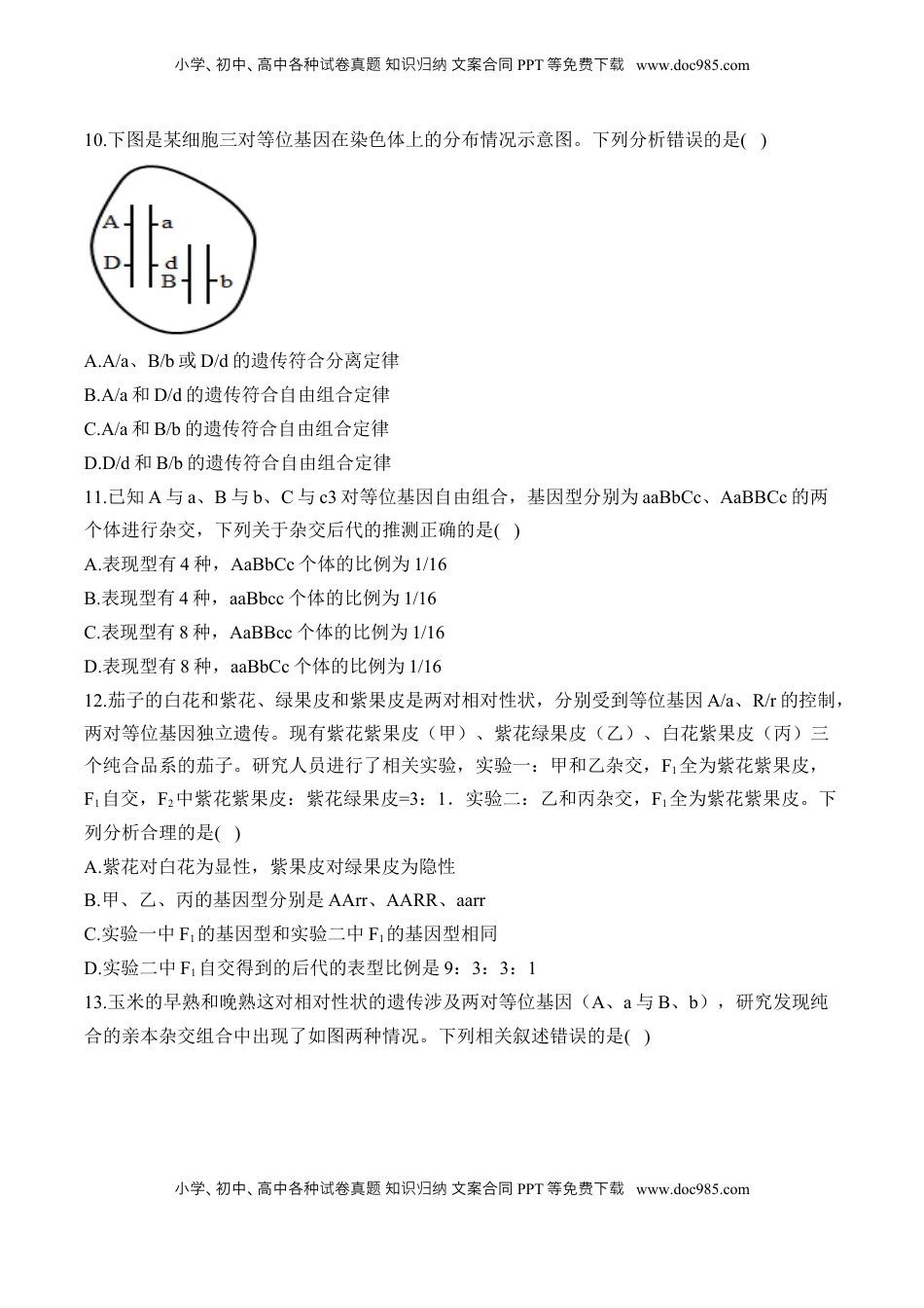 高考生物复习  专题八 遗传的基本规律(有解析)——2025届高考生物考点剖析.docx