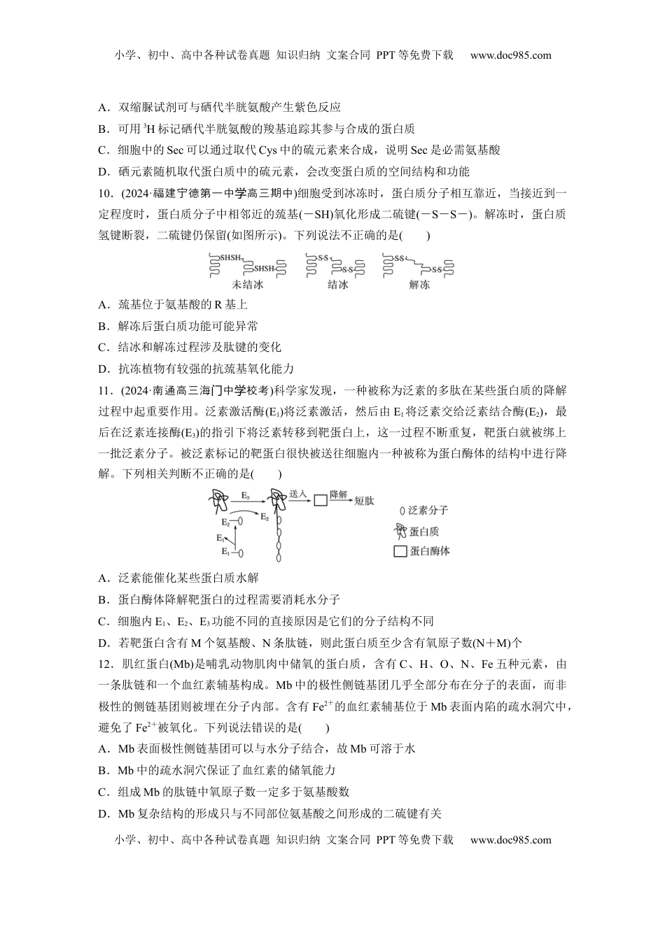 高考生物复习  第一单元　课时练4  蛋白质是生命活动的主要承担者.docx