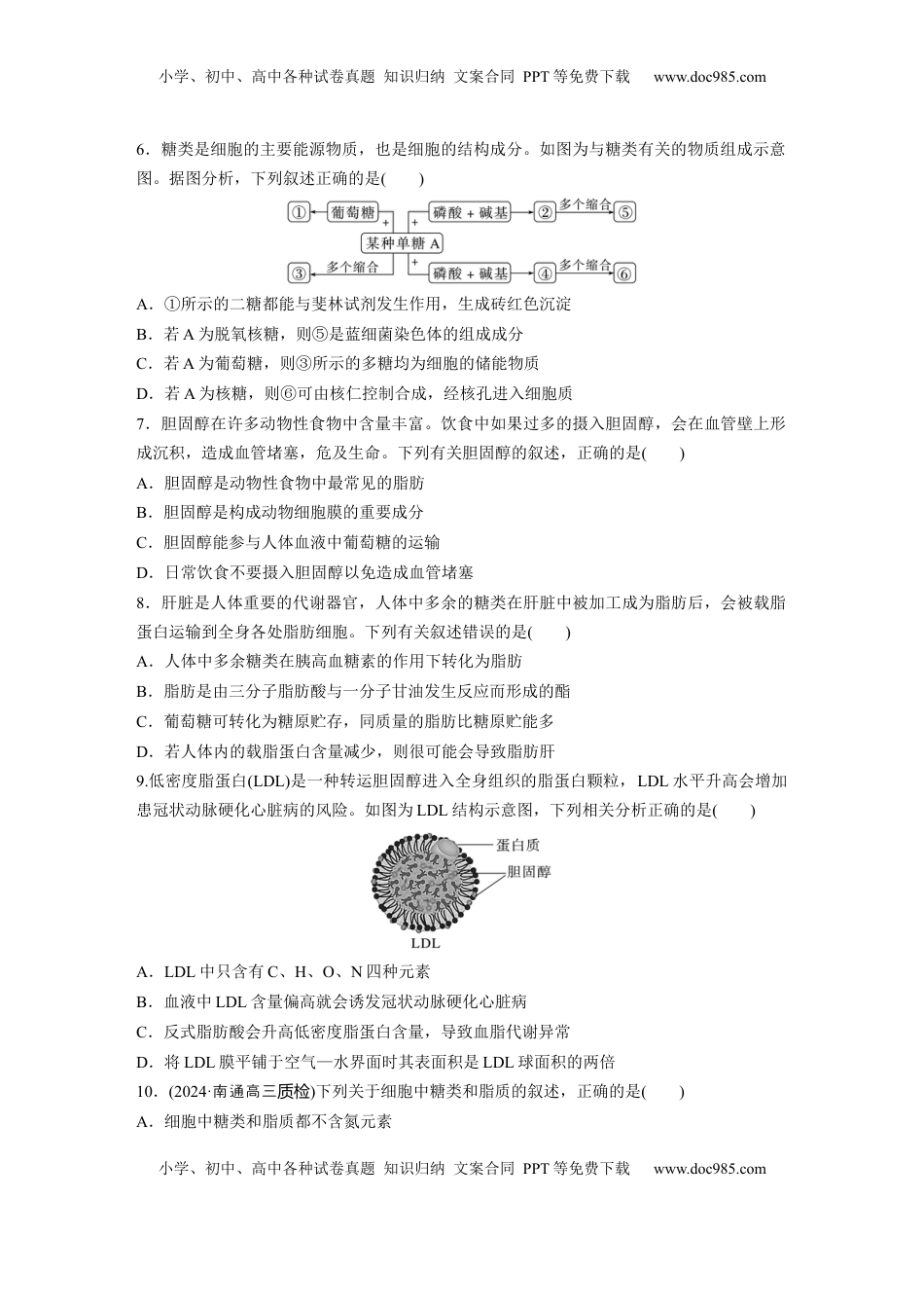 高考生物复习  第一单元　课时练3  细胞中的糖类和脂质.docx