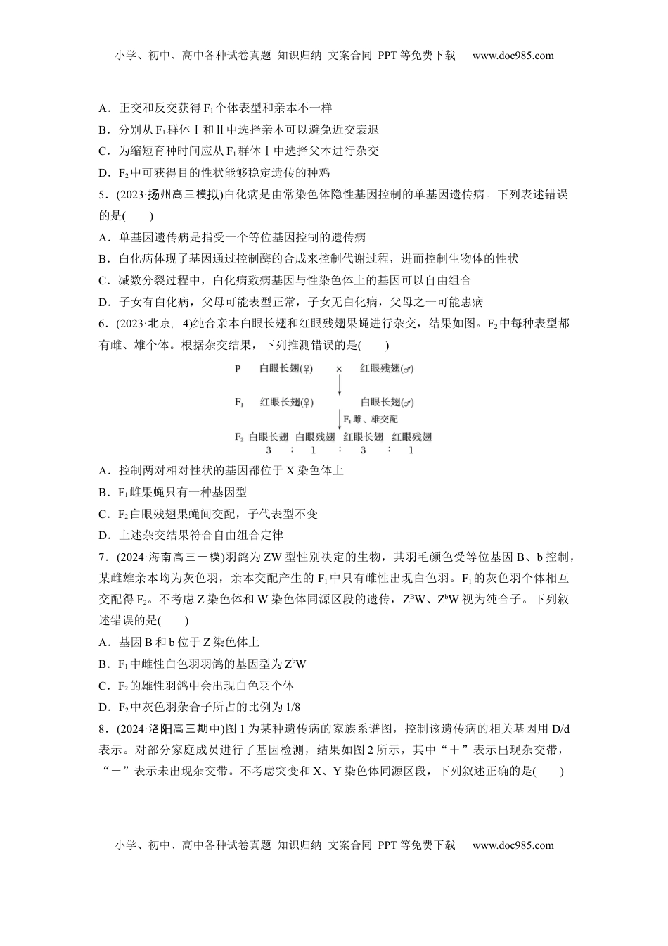 高考生物复习  第五单元  课时练28  伴性遗传和人类遗传病.docx