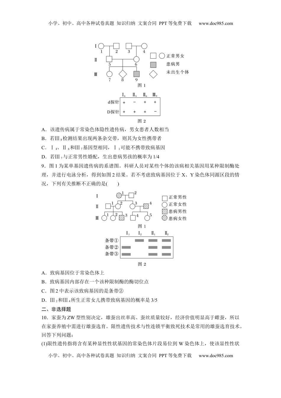 高考生物复习  第五单元  课时练28  伴性遗传和人类遗传病.docx