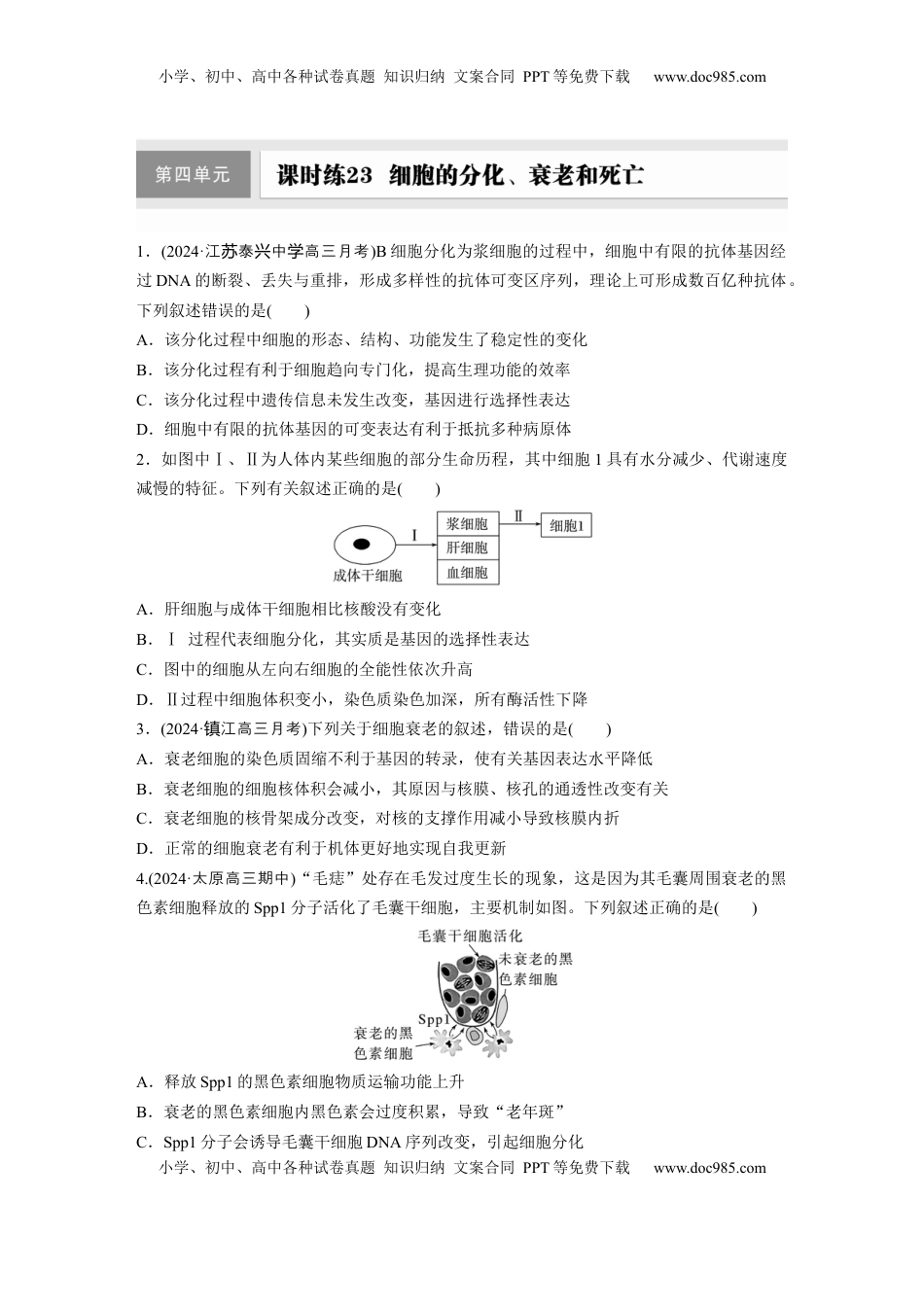 高考生物复习  第四单元  课时练23  细胞的分化、衰老和死亡.docx