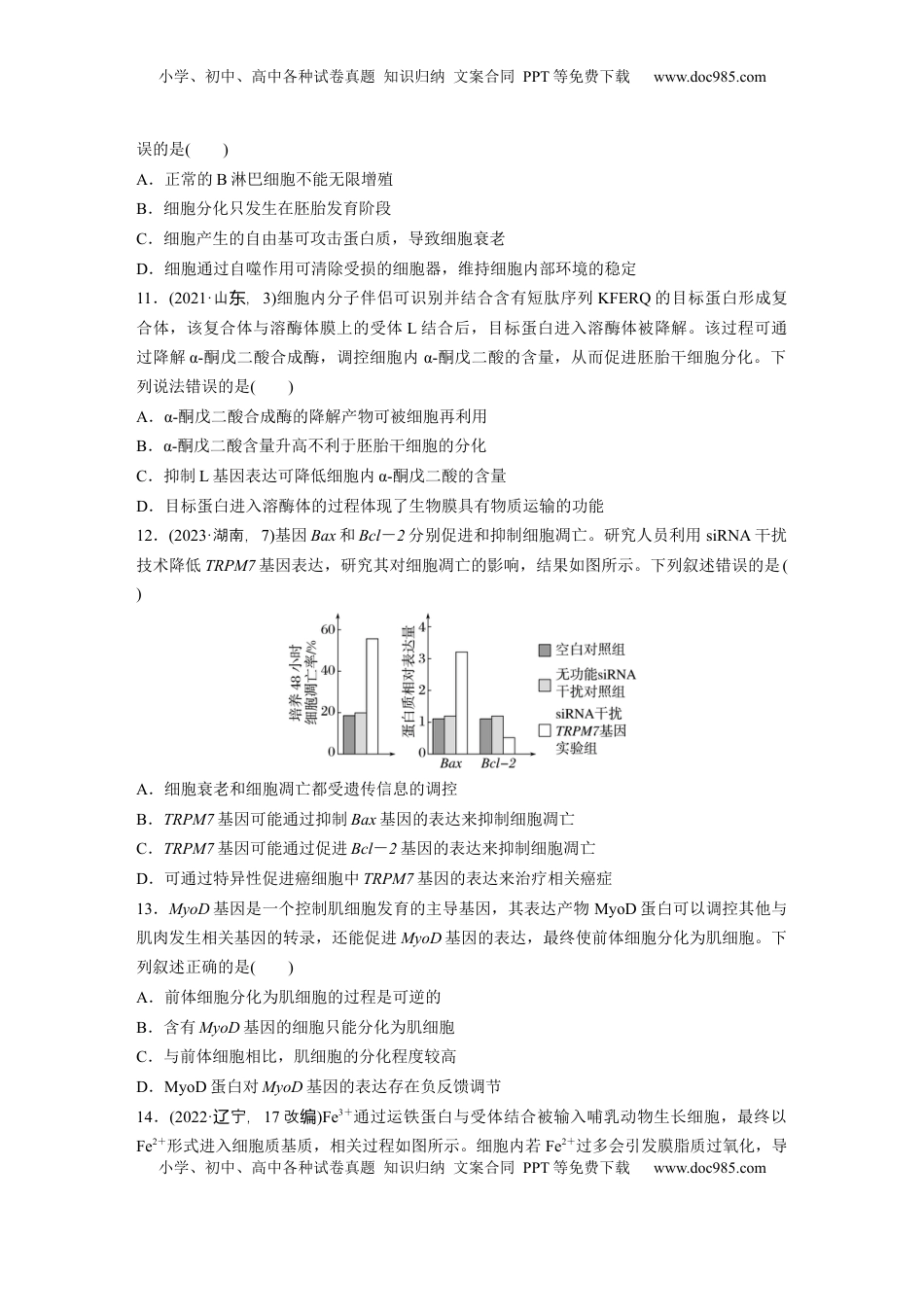 高考生物复习  第四单元  课时练23  细胞的分化、衰老和死亡.docx