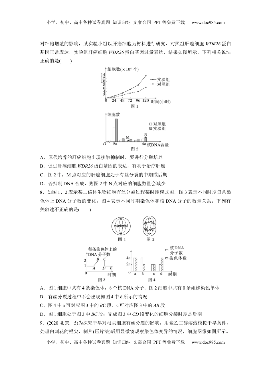 高考生物复习  第四单元  课时练20  有丝分裂过程中相关变化及观察实验.docx