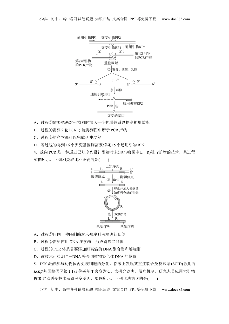 高考生物复习  第十单元　专题突破10　综合PCR的基因工程问题.docx