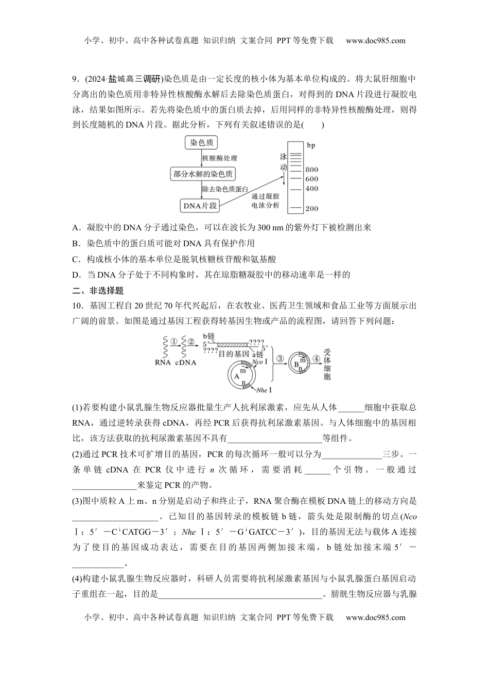 高考生物复习  第十单元　课时练62　基因工程的应用、蛋白质工程、DNA的两个重要实验.docx
