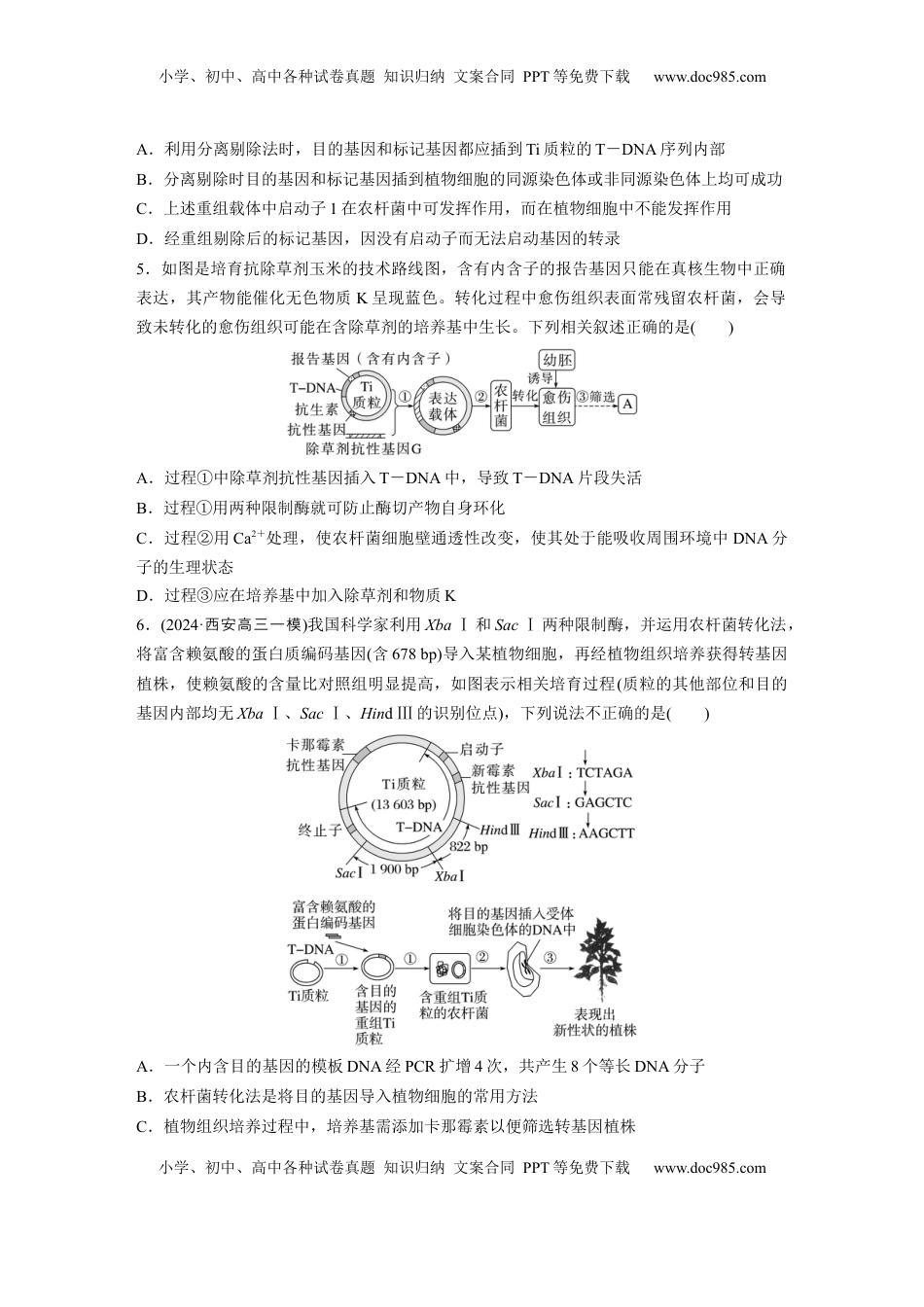 高考生物复习  第十单元　课时练61　基因工程的基本工具和基本操作程序.docx