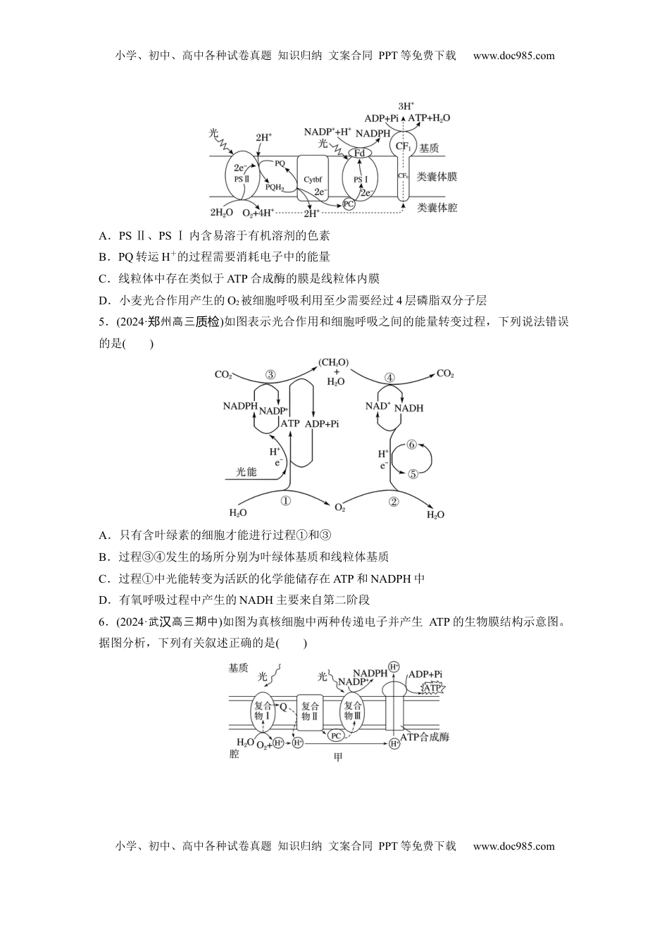 高考生物复习  第三单元　课时练16  光合作用的原理.docx