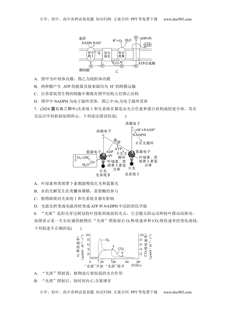 高考生物复习  第三单元　课时练16  光合作用的原理.docx