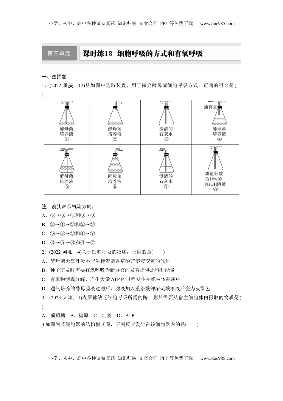 高考生物复习  第三单元　课时练13  细胞呼吸的方式和有氧呼吸.docx