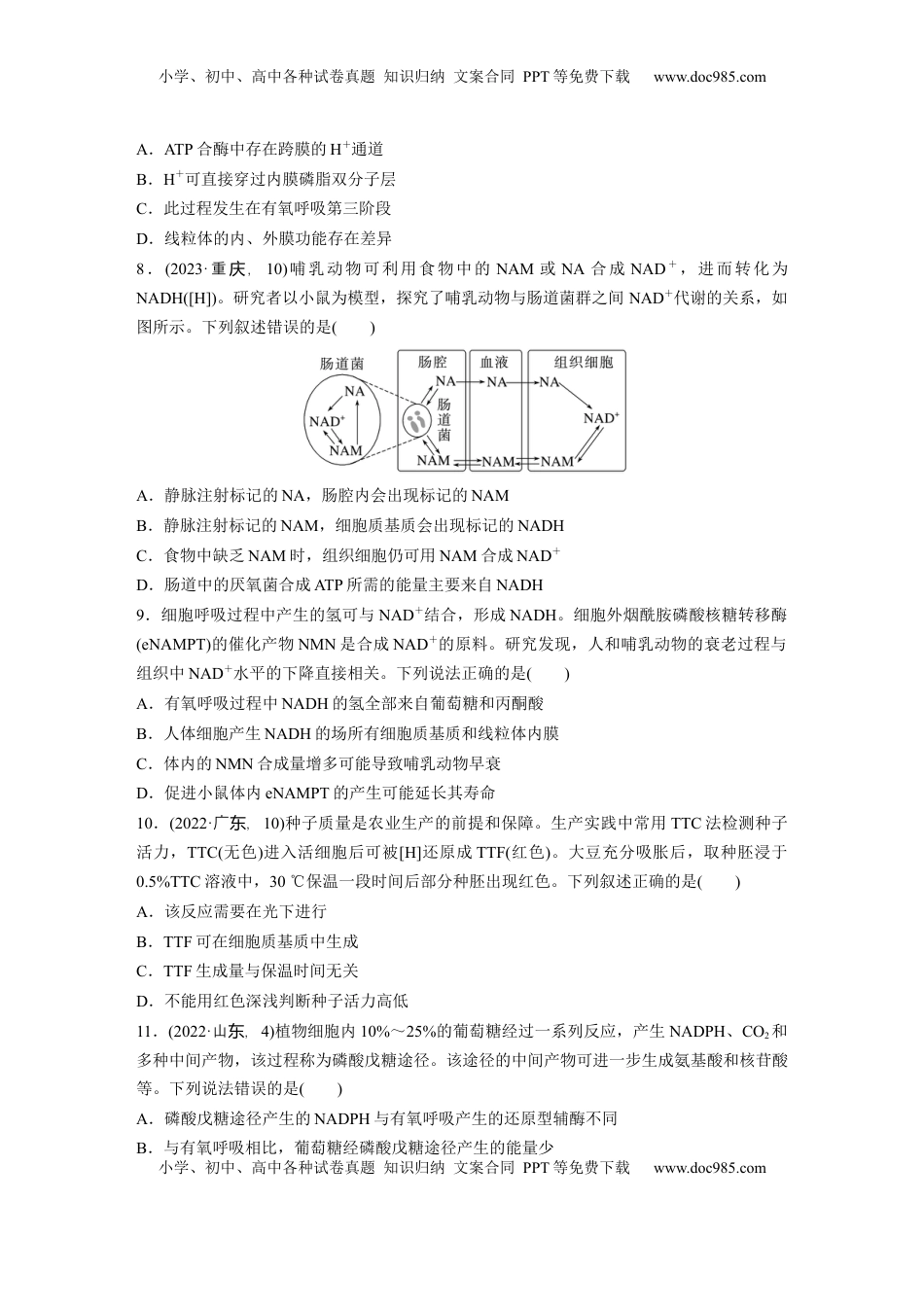 高考生物复习  第三单元　课时练13  细胞呼吸的方式和有氧呼吸.docx