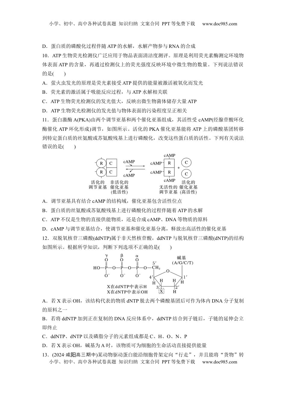 高考生物复习  第三单元　课时练12  细胞的能量“货币”ATP.docx