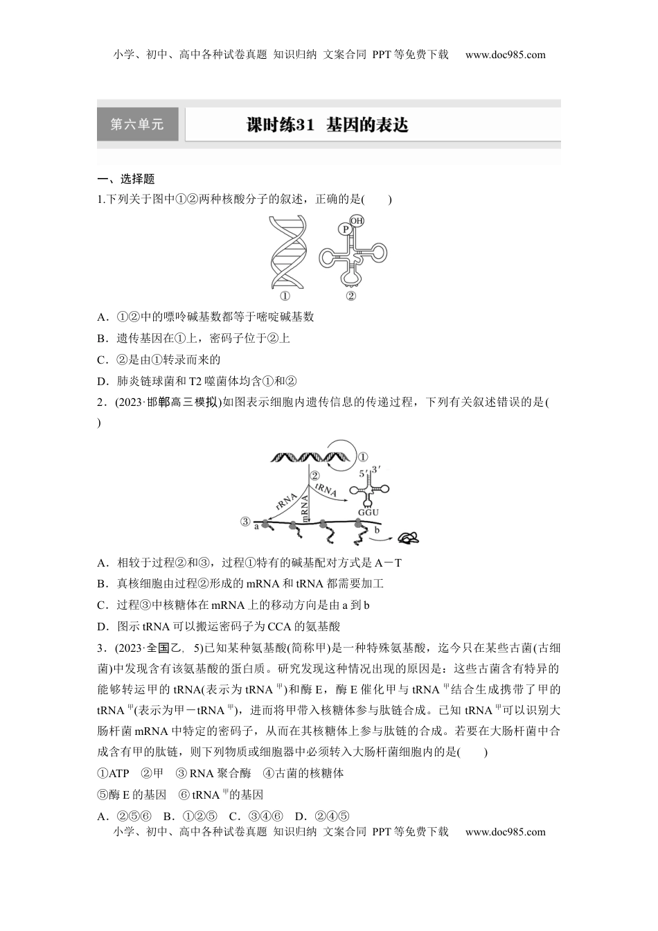 高考生物复习  第六单元　课时练31　基因的表达.docx