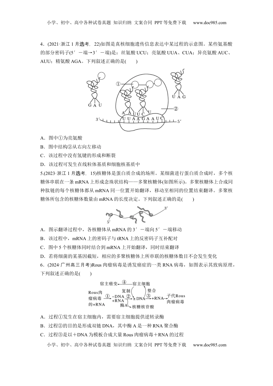 高考生物复习  第六单元　课时练31　基因的表达.docx