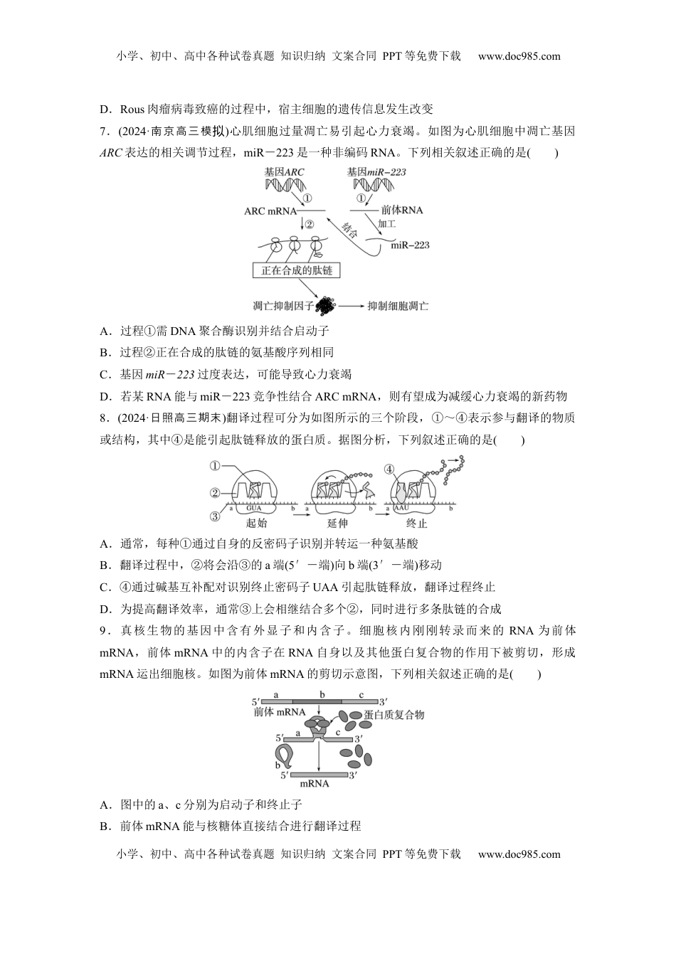 高考生物复习  第六单元　课时练31　基因的表达.docx