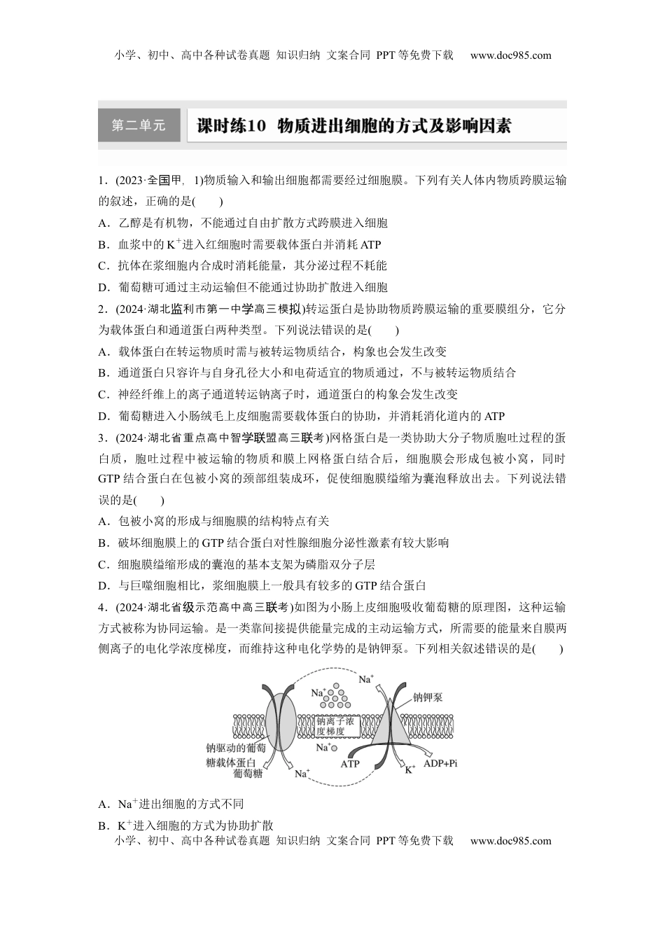 高考生物复习  第二单元　课时练10  物质进出细胞的方式及影响因素.docx