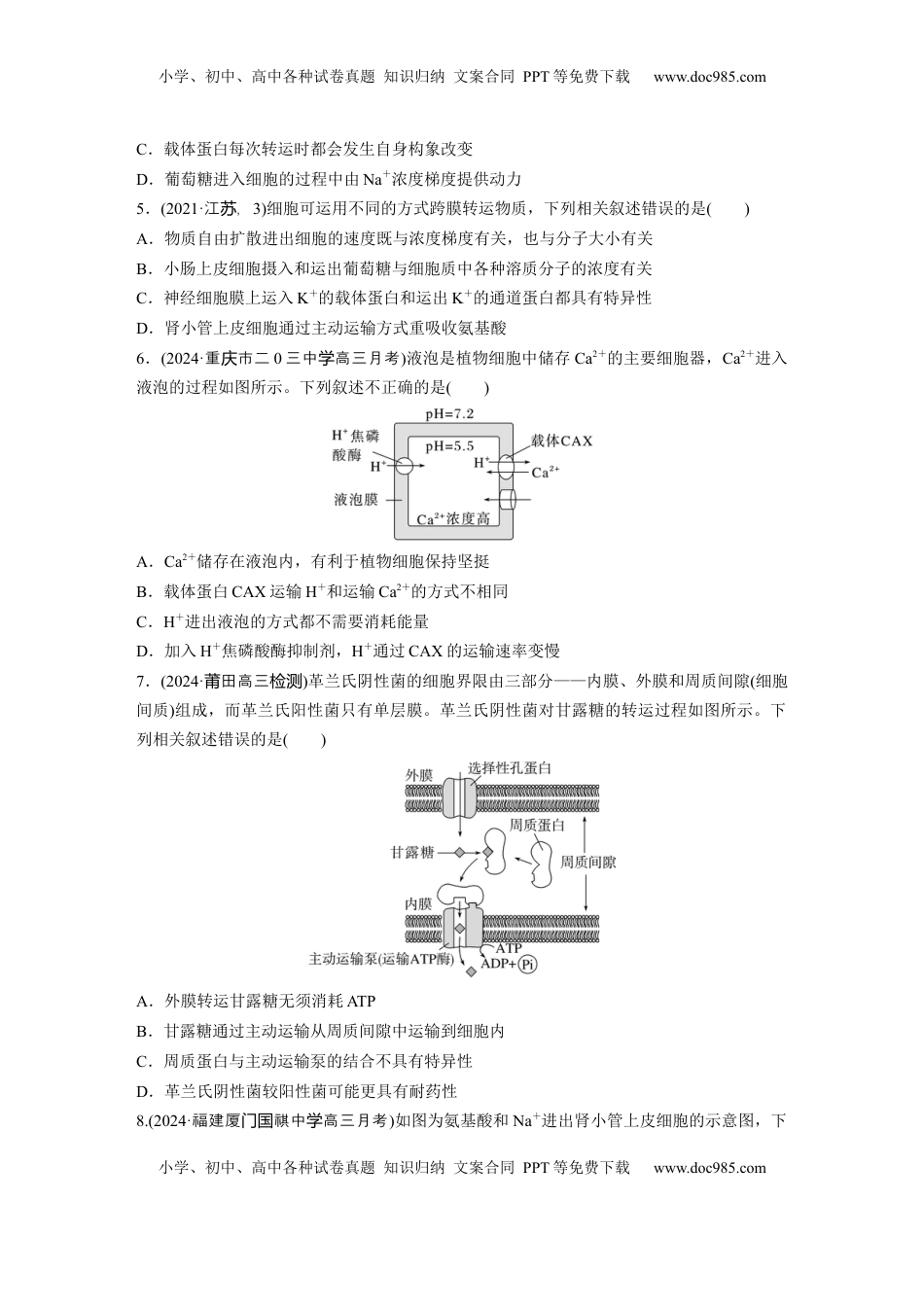 高考生物复习  第二单元　课时练10  物质进出细胞的方式及影响因素.docx