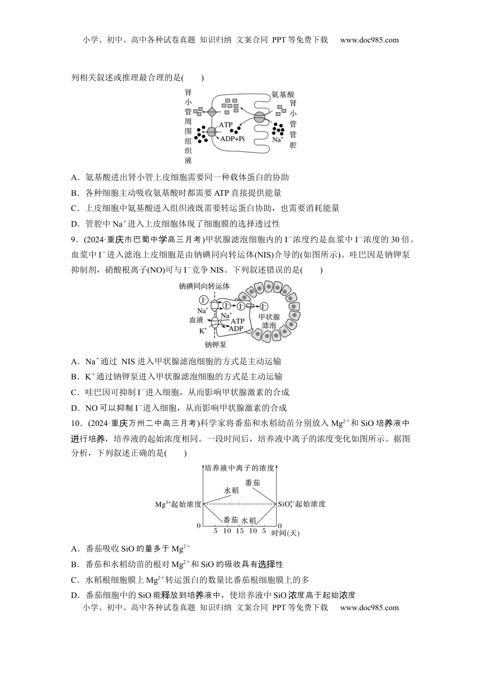 高考生物复习  第二单元　课时练10  物质进出细胞的方式及影响因素.docx