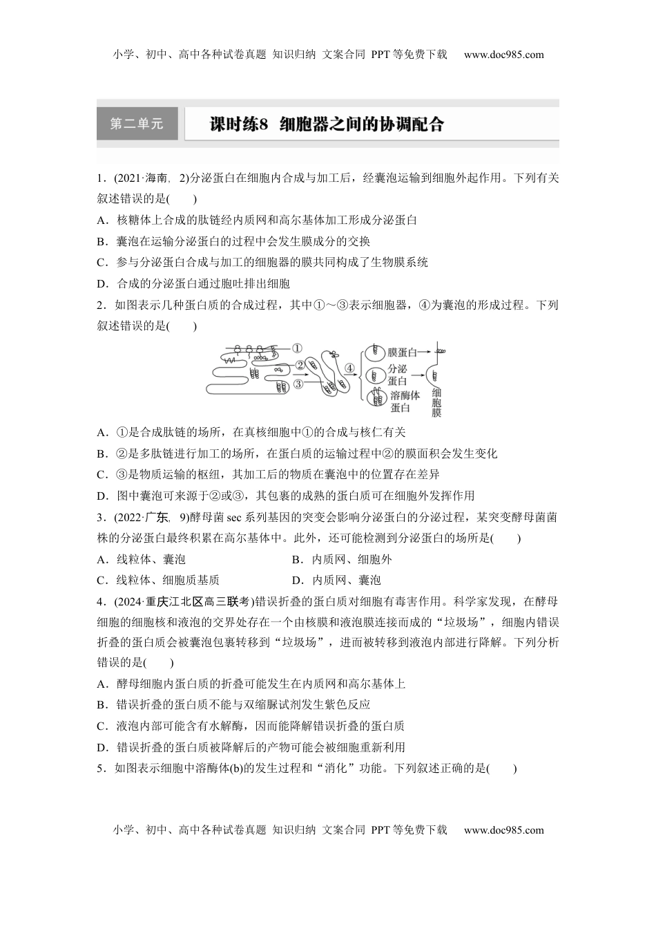 高考生物复习  第二单元　课时练8  细胞器之间的协调配合.docx