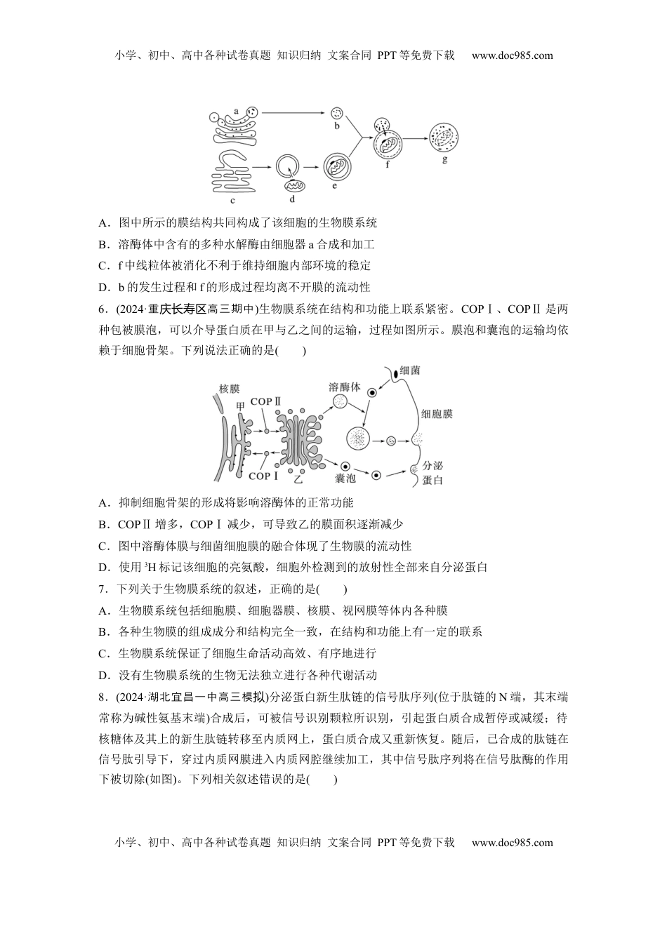 高考生物复习  第二单元　课时练8  细胞器之间的协调配合.docx