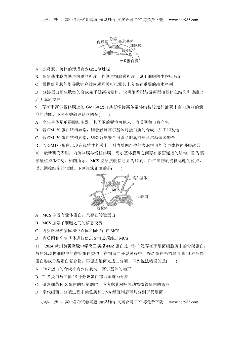 高考生物复习  第二单元　课时练8  细胞器之间的协调配合.docx