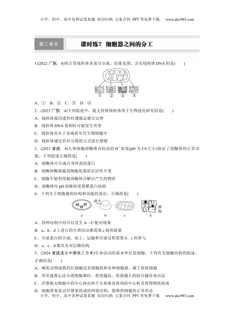 高考生物复习  第二单元　课时练7  细胞器之间的分工.docx