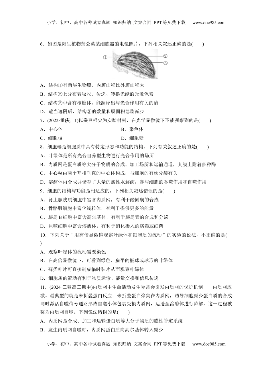 高考生物复习  第二单元　课时练7  细胞器之间的分工.docx