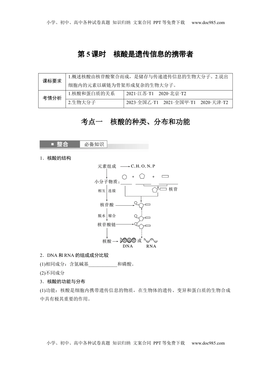 高考生物复习  第一单元　第5课时　核酸是遗传信息的携带者.docx
