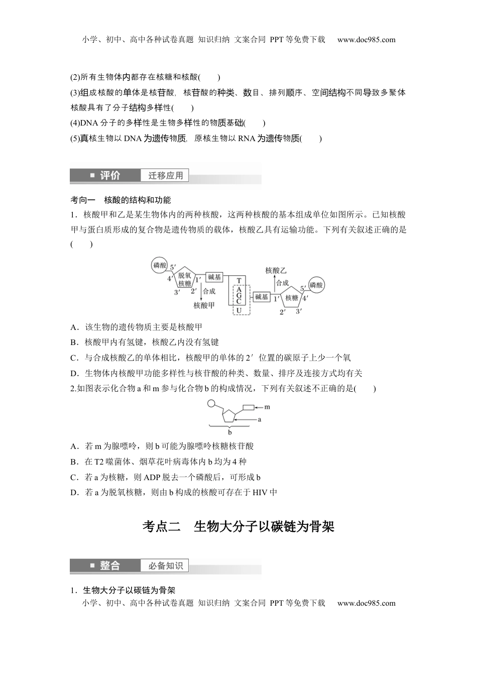 高考生物复习  第一单元　第5课时　核酸是遗传信息的携带者.docx