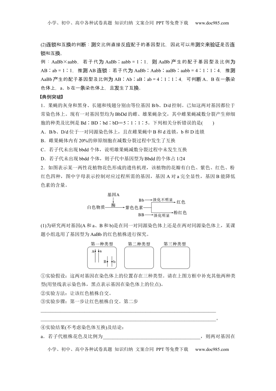 高考生物复习  第五单元　专题突破7　探究不同对基因在常染色体上的位置.docx