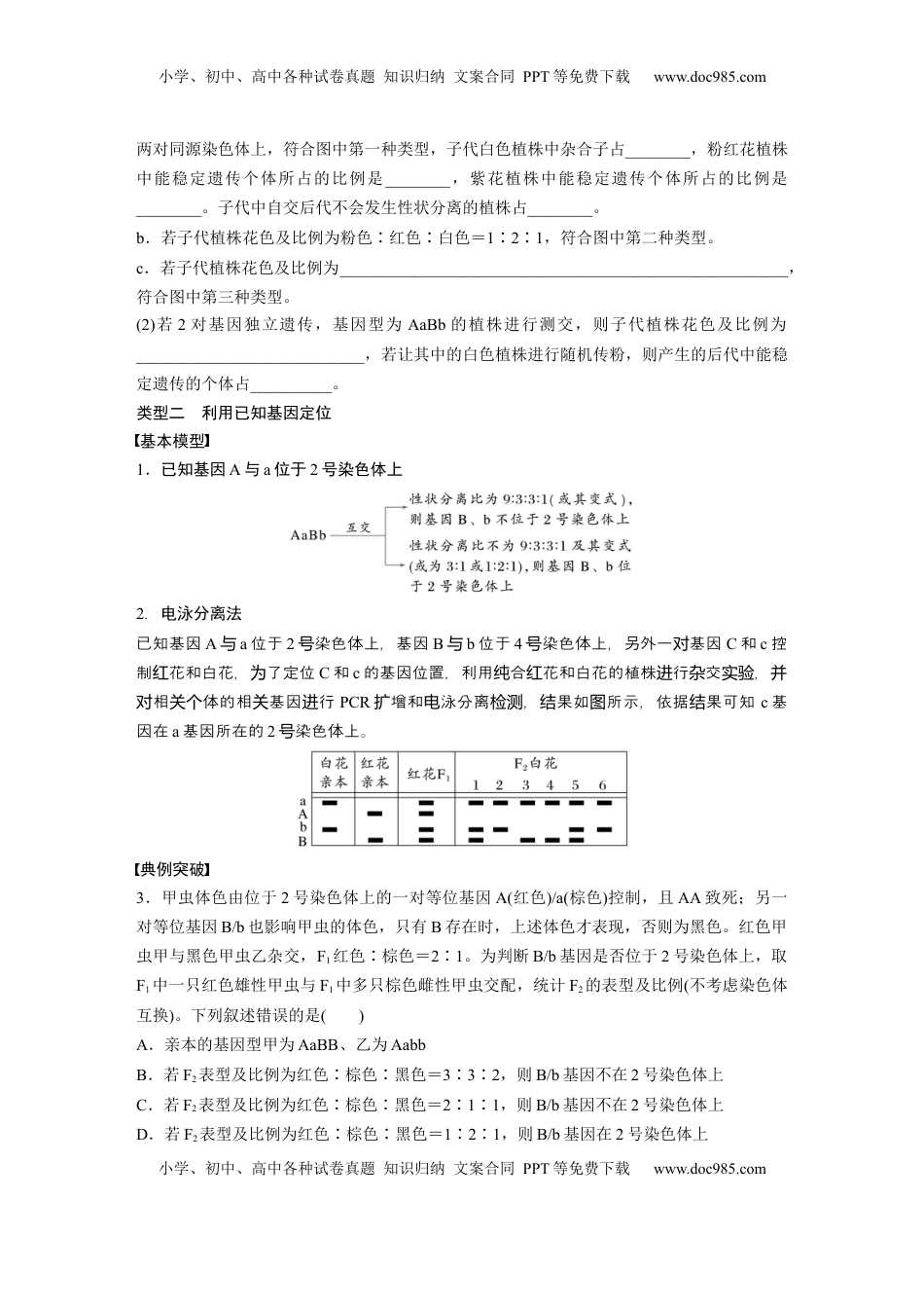 高考生物复习  第五单元　专题突破7　探究不同对基因在常染色体上的位置.docx