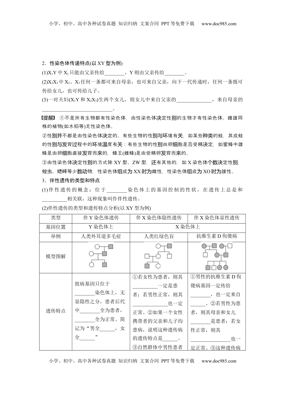 高考生物复习  第五单元　第28课时　伴性遗传和人类遗传病.docx