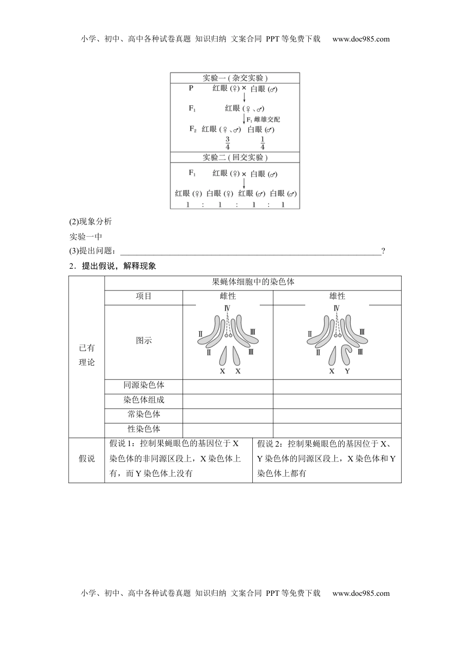 高考生物复习  第五单元　第27课时　基因在染色体上.docx